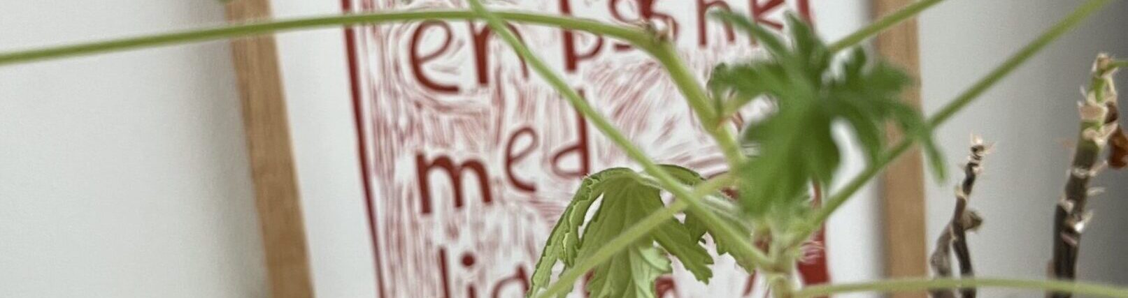 Hjælp til konflikter - mægling og rådgivning